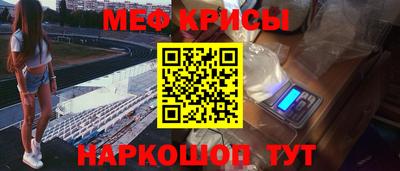 крисы Кингисепп