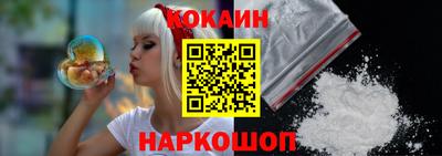 крисы Кингисепп
