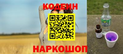 крисы Кингисепп