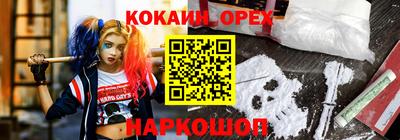 крисы Кингисепп