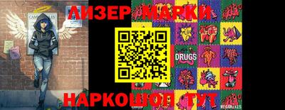 крисы Кингисепп
