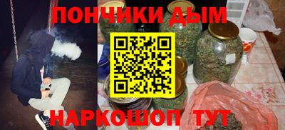 крисы Кингисепп