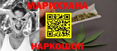 крисы Кингисепп