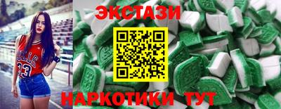 крисы Кингисепп