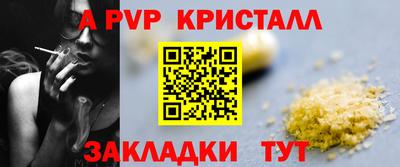 крисы Кингисепп