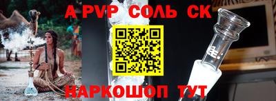 крисы Кингисепп