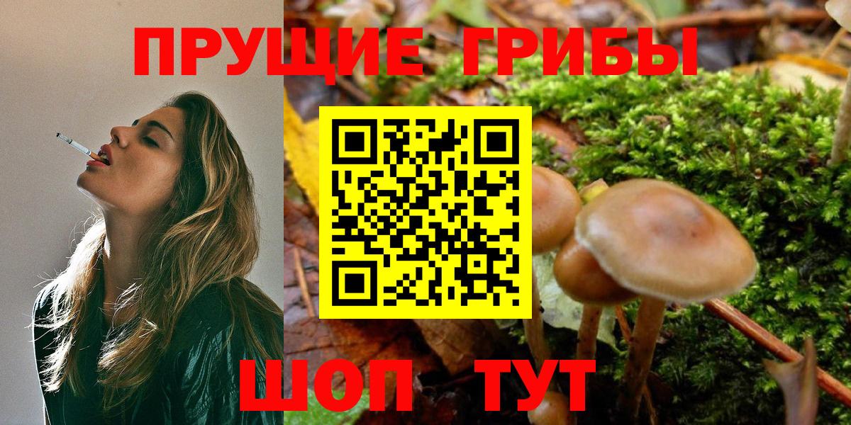 Галлюциногенные грибы мицелий Мелеуз