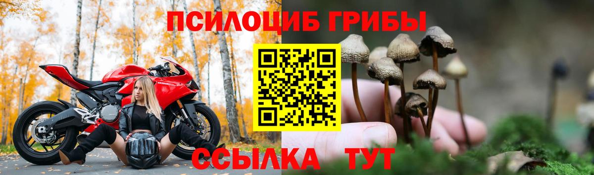 купить наркоту  Псилоцибиновые грибы ЛСД  Мелеуз  Галлюциногенные грибы MAGIC MUSHROOMS 